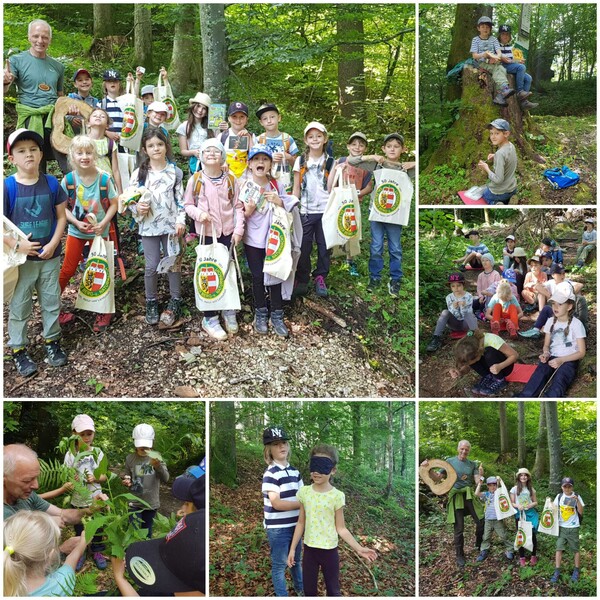 waldtag1b 25