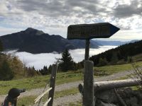 img_3267